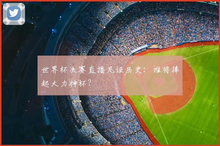 世界杯决赛直播见证历史：谁将捧起大力神杯？