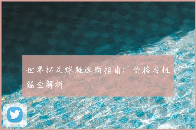 世界杯足球鞋选购指南：价格与性能全解析
