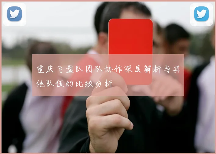 重庆飞盘队团队协作深度解析与其他队伍的比较分析
