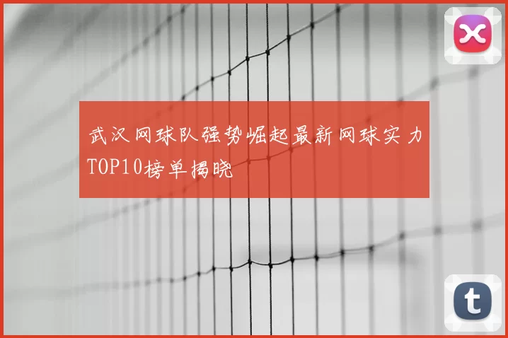 武汉网球队强势崛起最新网球实力TOP10榜单揭晓