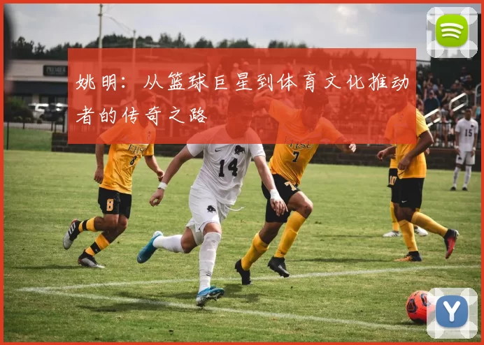 姚明：从篮球巨星到体育文化推动者的传奇之路