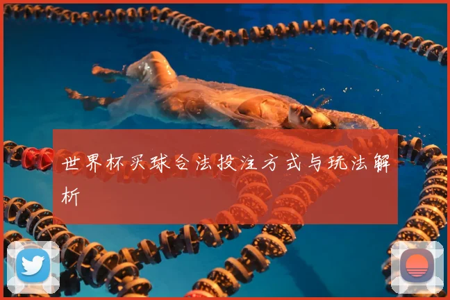 世界杯买球合法投注方式与玩法解析