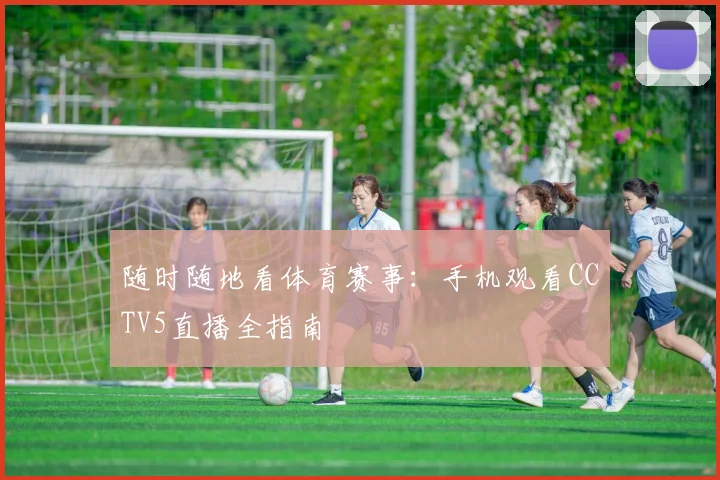 随时随地看体育赛事:手机观看CCTV5直播全指南