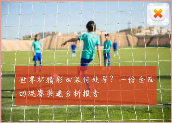 世界杯精彩回放何处寻?一份全面的观赛渠道分析报告
