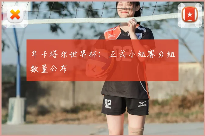 年卡塔尔世界杯：正式小组赛分组数量公布