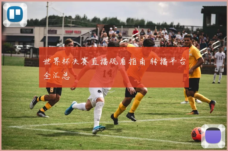 世界杯决赛直播观看指南 转播平台全汇总