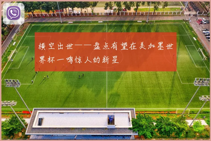 横空出世——盘点有望在美加墨世界杯一鸣惊人的新星