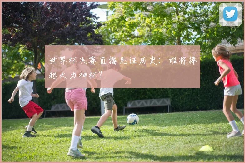 世界杯决赛直播见证历史：谁将捧起大力神杯？