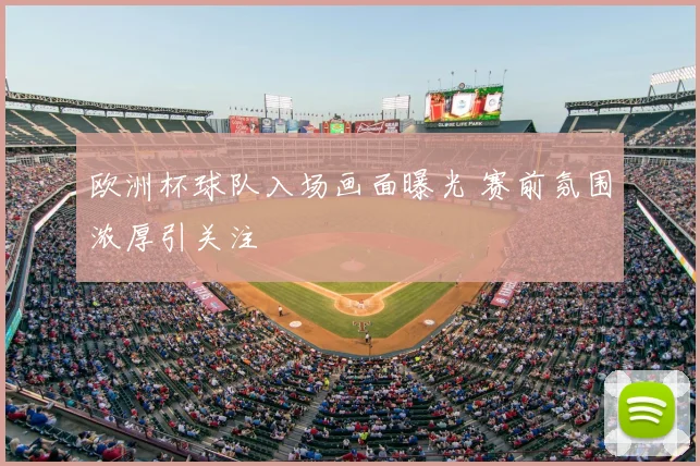欧洲杯球队入场画面曝光 赛前氛围浓厚引关注