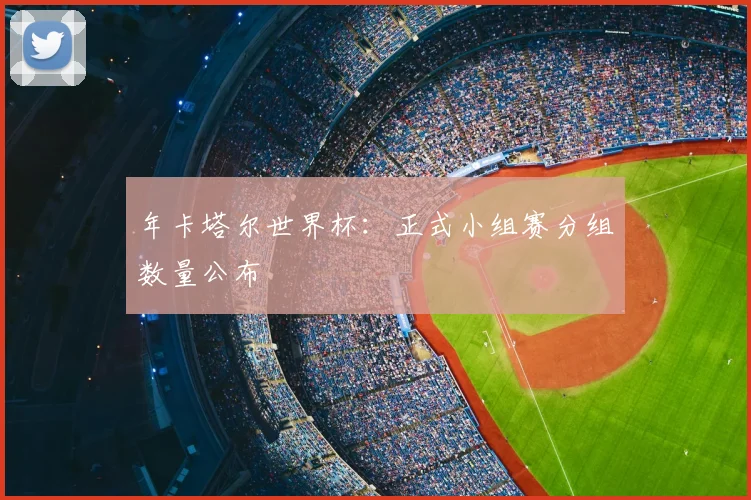 年卡塔尔世界杯：正式小组赛分组数量公布