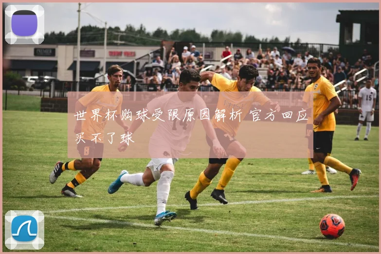 世界杯购球受限原因解析 官方回应买不了球