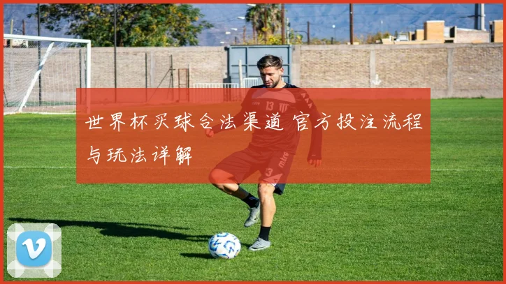 世界杯买球合法渠道 官方投注流程与玩法详解